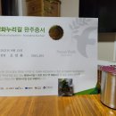 [DMZ평화의길] 7코스 반구정 황희선생유적지