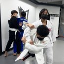 Dream of JuDo 반석유도관 이미지
