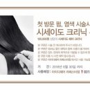헤어라페