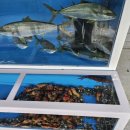 오쇼 하우스 이미지