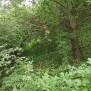 단양군어상천면덕문곡보건진료소 이미지