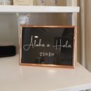 알로하올라 이미지