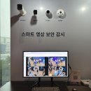 싸이버씨티 | 대란 속 기업 데이터 지키는 법, 시놀로지 솔루션 데이 2025 후기 (랜섬웨어 대응 ActiveProtect, PAS7700)