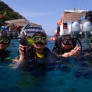 푸켓체험다이빙 라챠섬다이빙 SSI강사과정 시밀란리브어보드 파통한국식당섬 이미지
