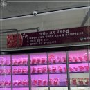 영지원 명가 이미지