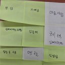 용인대챔피온태권도 | 1초의 승부, 씨름!멘탈코칭받고 한판승으로 장사가 될 것같아요. 용인대 씨름선수들(25.11.22~23)