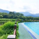 자라섬캠핑장 이미지