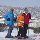 덕산면009 Daum카페