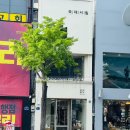 국제서림 네이버블로그