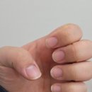 순천 웨딩네일 네일사일리 연장 잘하는곳 내돈내산 후기