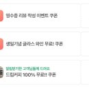 파슬리브런치 이미지