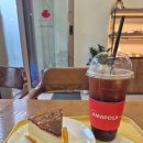 아마폴라 - 강남구 논현동 | 언주역 케이크 맛집🍰 카페드아마폴라 강남점 직접 다녀온 후기