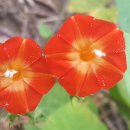 행복자원 이미지