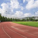 김태한 카카오 검색결과