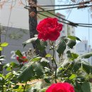 송림다방 이미지