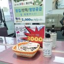 구피샵 화원점 | <대구 달서구 화원>구피샵,미용실 염색 후기