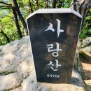 수협 앞 횡단보도 이미지