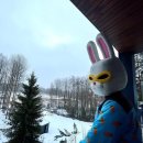 5419 | 나고야(2) 시라카와고 다카야마 렌터카 여행: 콘파루, 푸딩의 집, 수제 소바집 노무라, 히다규 - 260130