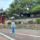 진주 강민첨 탄생지 이미지