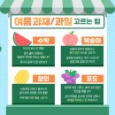싱싱한과일