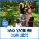 강촌농특산물판매장 | 무주 가볼만한 곳 - 육지 속의 섬, 앞섬마을 농촌체험