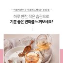 팥&호박