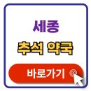 세종약국 | 세종 추석 문여는 약국 찾기 휴일지킴이 약국 검색 최신정보