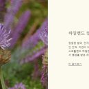 온더무어 - 마포구 망원로11길 44 | 온더무어