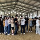 거창 오로라 승마장 이미지