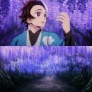 현플라워 이미지