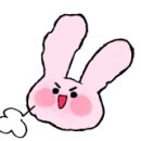 이마트 광교점 몰리스펫샵 이미지