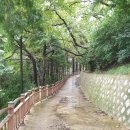 대티로 9 버스정류장 옆(대티고개) | 오는 날 천마산 산책 : 부산항 구경하기 (대티고개 버스정류장 ~ 감천문화마을 ~ 천마바위 전망대...