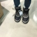 라코스테파주신세계아울렛 이미지