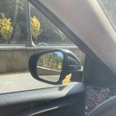 갈월공원 | 11월 일상