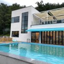 댕댕월드 이미지