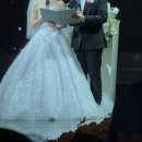 라온캣독 호텔 대구점 | W2. 보네르웨딩 후기 (라온뷰티, 리허설 메이크업, 최종 피팅)