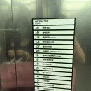 아이오마강남