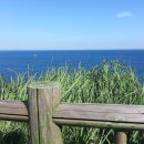 제주미라클호텔 이미지