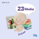 우진운수㈜ | 임신일기 23주 | 제주여행