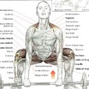 리프트짐 이미지