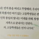 예향식당 네이버블로그