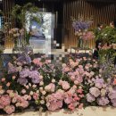 포브스인터내셔날 | W3-4. 반포 호텔 웨딩 JW메리어트 서울 그랜드볼룸 투어 후기 1,2월 비수기 견적 공유