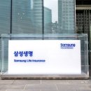 득이네 이미지