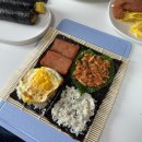 [요리] 봄 소풍 도시락 싸기!🍱 김밥 &amp; 접는 사각김밥 (네모김밥) &amp; 샌드위치 만들기