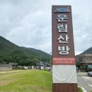 전남 진도 관광지 추천 : 운림산방&amp;운림산림욕장