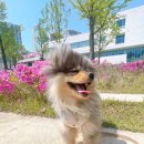 털로덮인친구들(동탄호수공원점) 이미지