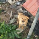 김상배농장 이미지