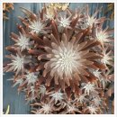 등불농장 이미지