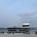 강아지나라 | 서울 한강버스 탑승후기 강아지 애견동반 가능