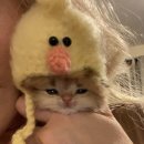 포인트24 이미지